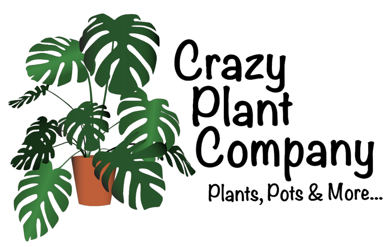 Home | Crazy Plant Company